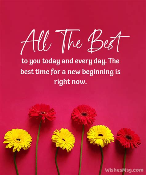good wishes synonym|All The Best For New Journey: Best Wishes to All of You.